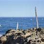 Noyo Headlands Park