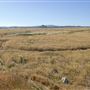 Noyo Headlands Park