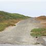 Haul Road Coastal Trail (MacKerricher State Park)