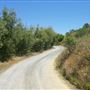 Blue Rock Road