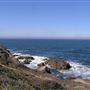 Bodega Bay Coast