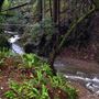 Camp Meeker
