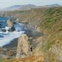 Furlong Gulch Beach (Sonoma Coast State Park)