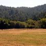 Casini Ranch Family Campground