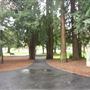 Church of One Tree