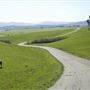 Cougar Mountain Drive
