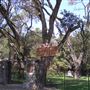 Cypress Hill Memorial Park