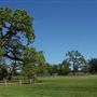 Finley Community Park