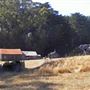 Fort Ross State Historic Park (SHP)