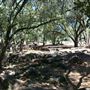 Howarth Park