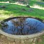 Jack London State Historic Park (SHP)