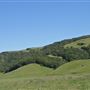 J G Angus Ranch
