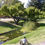 Julliard Park