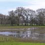 Laguna de Santa Rosa Trail