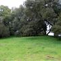 Tom Scott Ranch
