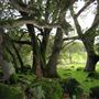 Tom Scott Ranch