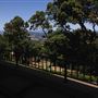 Sonoma Mountain Vista Estate