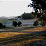 Swallowtail Studios