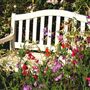 The Russian River Rose Company