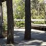 Van Damme State Park (SP) / Beach / Pygmy Forest / Fern Canyon Trail / Spring Ranch Trail