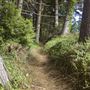 Little River Blowhole Trail