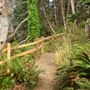 Little River Blowhole Trail