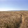 Jug Handle State Natural Reserve (SNR)