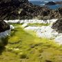 Mendocino Headlands State Park (SP)