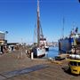 Al Larson Boat Shop & Marina / ALBS - Long Beach