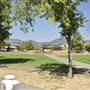 Willits City Park