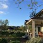 Acacia Farms