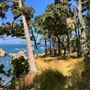 Smidgemore Property - Private Beach Cove & Bluffs with Vacant Cottages
