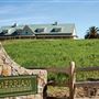 Merriam Vineyards