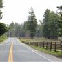 Simpson Lane - Rural County Road