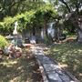 Bees Rock Ranch