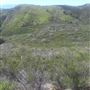 Villalobos Hilltop Ranch