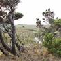 Belinda Point Public Access Trail