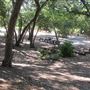 Placerita Canyon State Park (SP) / Placerita Canyon Natural Area / Placerita Nature Center