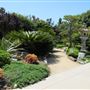 South Coast Botanic Garden