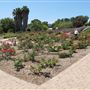South Coast Botanic Garden