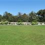South Coast Botanic Garden