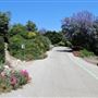 South Coast Botanic Garden