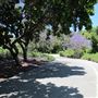 South Coast Botanic Garden