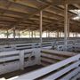 Kern County Fair - 15th DAA