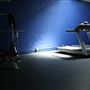 Free Spirit Boxing & Fitness