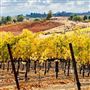 Rancho Deeluxe - Paso Robles - San Luis Obispo County