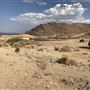 Bagdad Chase - Ludlow California
