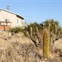 High Desert Gem - Fisher Family Desert Farm