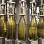 Oreana Winery & Vineyard - Fisco