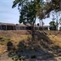 Bracaccini Ranch Property - 50 acres open field / Ranch House / Barns